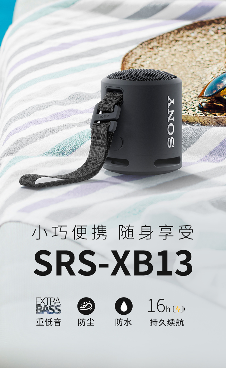 SRS-XB13