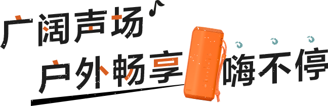 SRS-XE200 索尼X系列蓝牙音箱
