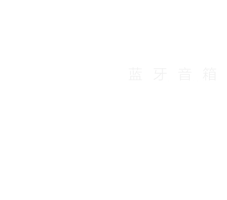 RS-XE300 索尼X系列蓝牙音箱