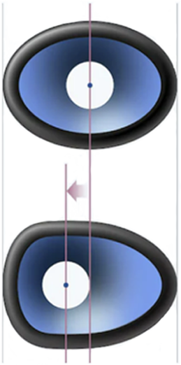 RS-XE300 索尼X系列藍牙音箱