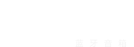 SRS-XG300 索尼X系列蓝牙音箱