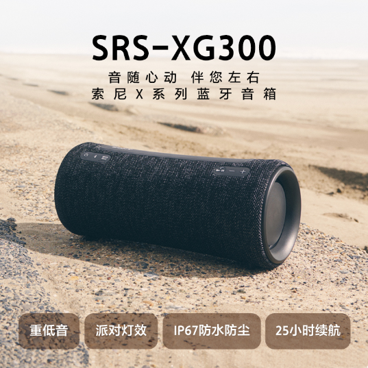 索尼(Sony)XGSRS-XG300 索尼X系列蓝牙音箱无线扬声器(SRS-XG300/BCCNC)_1