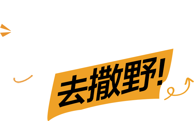  ULT FIELD无线扬声器