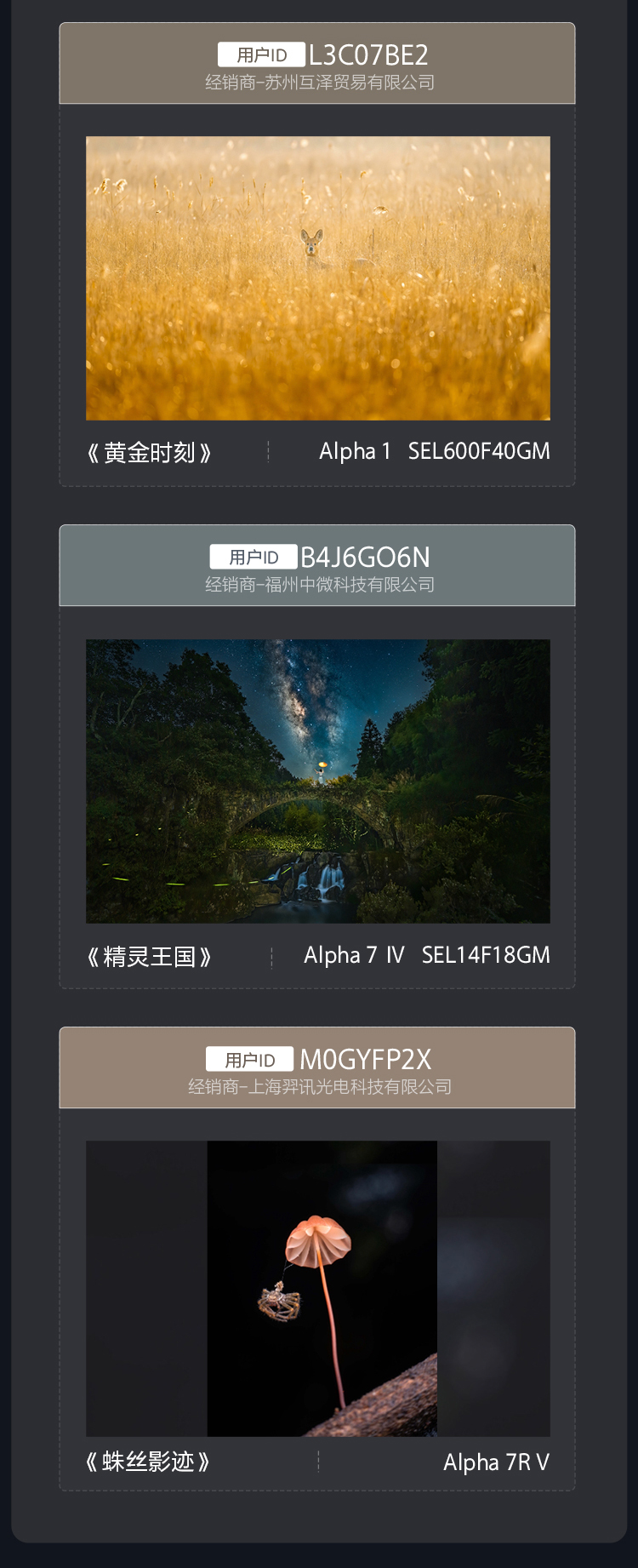 索尼经销商会员摄影比赛 优胜奖