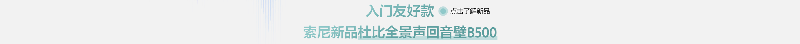 入门友好款 索尼新品杜比全景声回音壁B500