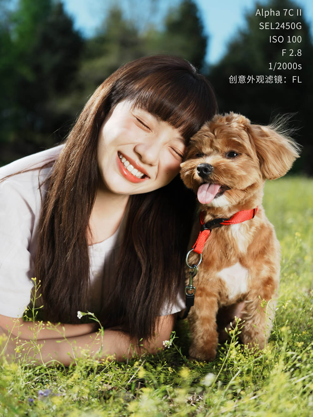 Alpha 7C II 固件升级！小鸟说：“美美美！！！”