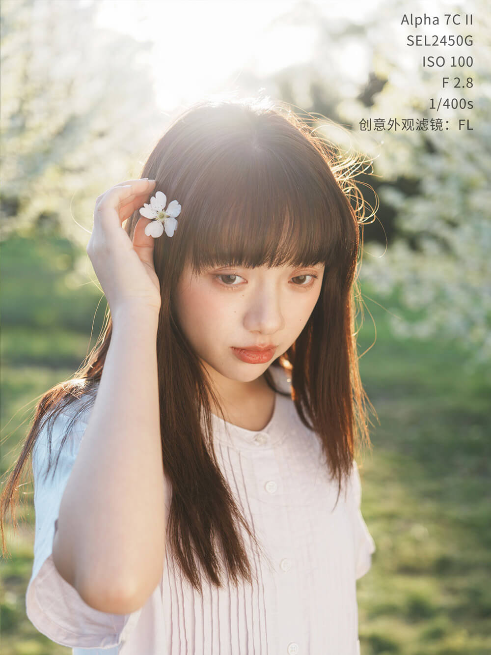 Alpha 7C II 固件升级！小鸟说：“美美美！！！”