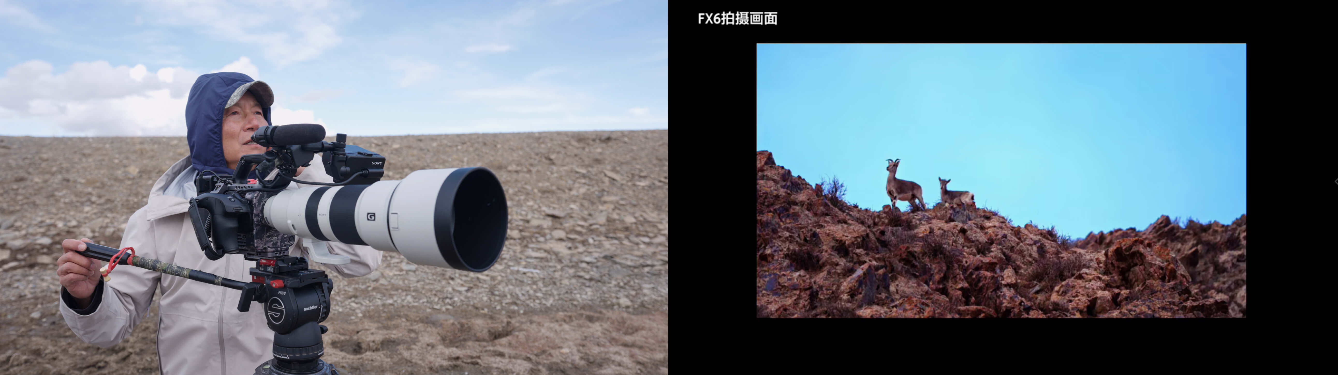索尼 FX6 野外实景拍摄画面