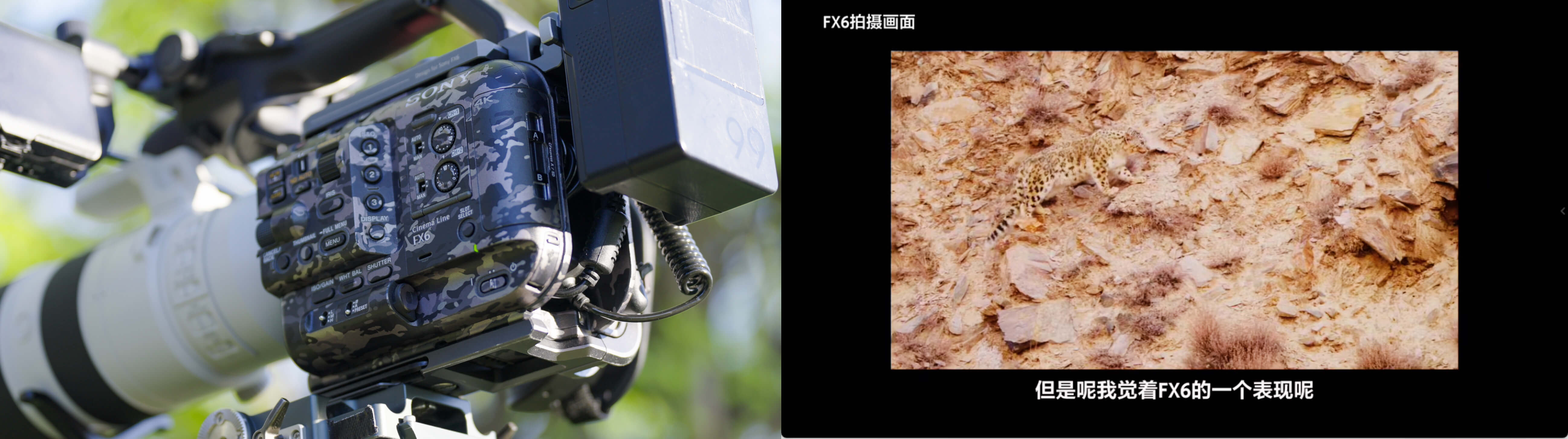 索尼 FX6 野外实景拍摄画面