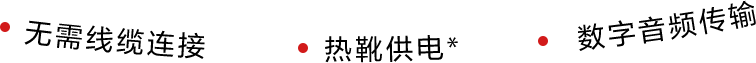 索尼数字音频麦克风