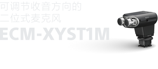 可调节收音方向的二位式麦克风ECM-XYST1M