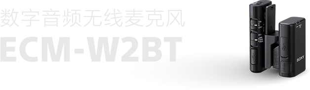 数字音频无线麦克风ECM-W2BT