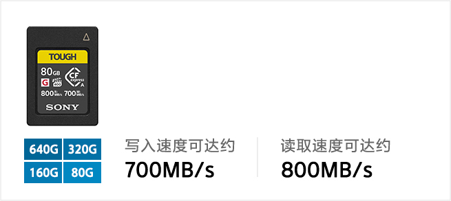 CEA-G系列储存卡