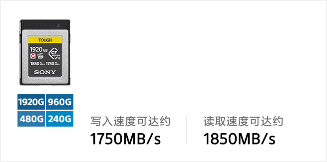 CEB-G系列储存卡