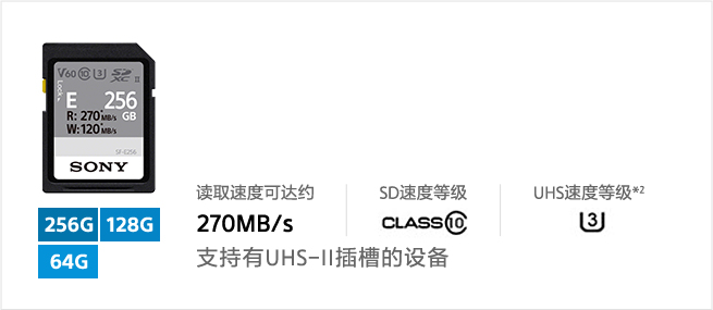 SF-E系列储存卡
