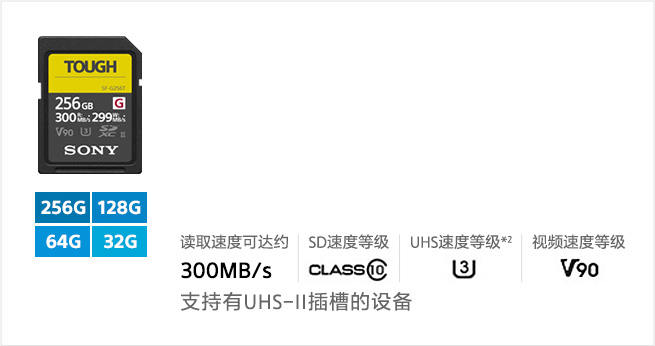 SF-G系列储存卡