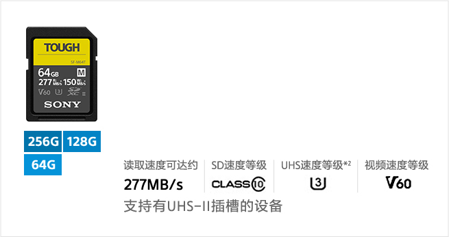 SF-M系列储存卡