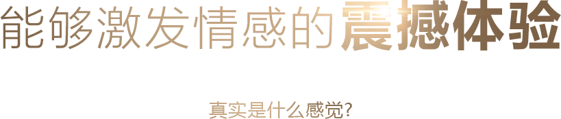 能够激发情感的震撼体验 真实是什么感觉？