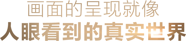 画面的呈现就像人眼看到的真实世界