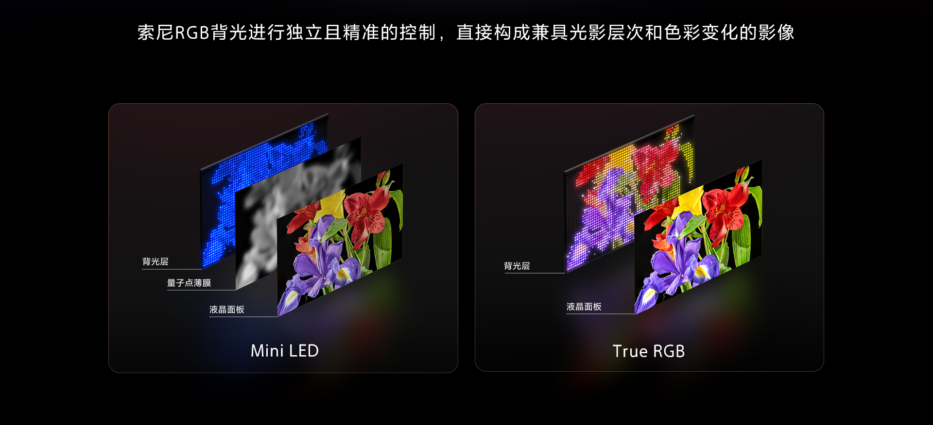 索尼 RGB LED 电视新品春季发布会