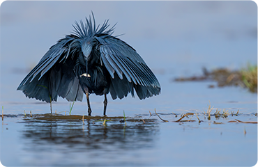 索尼微单15周年旗舰之旅