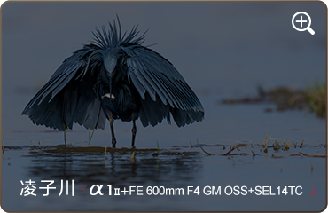 索尼微单15周年旗舰之旅