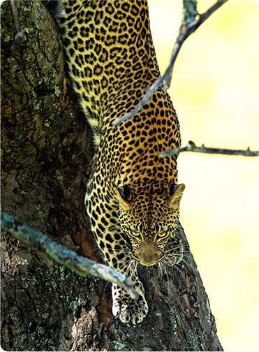 索尼微单15周年旗舰之旅