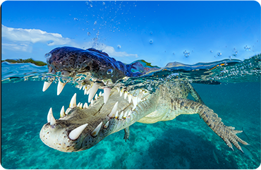 索尼微单15周年旗舰之旅