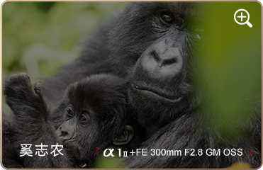 索尼微单15周年旗舰之旅