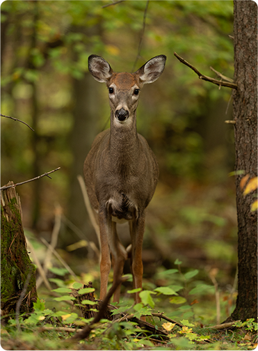 索尼微单15周年旗舰之旅