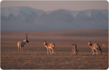 索尼微单15周年旗舰之旅