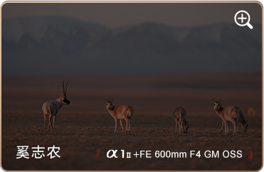 索尼微单15周年旗舰之旅