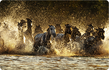 索尼微单15周年旗舰之旅