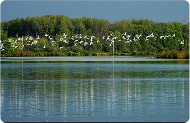 索尼微单15周年旗舰之旅