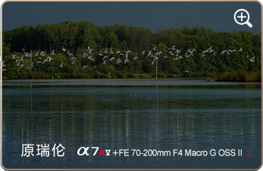 索尼微单15周年旗舰之旅