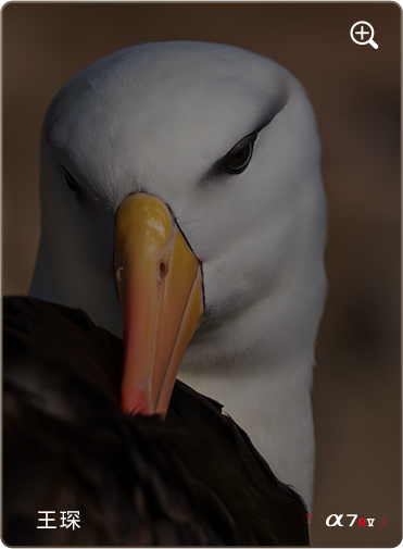 索尼微单15周年旗舰之旅