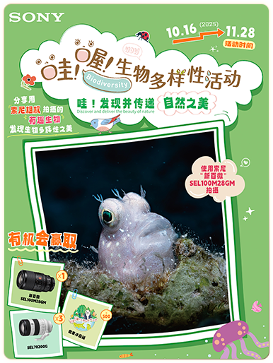 索尼微单15周年旗舰之旅