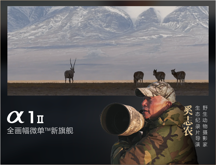 索尼微单15周年旗舰之旅