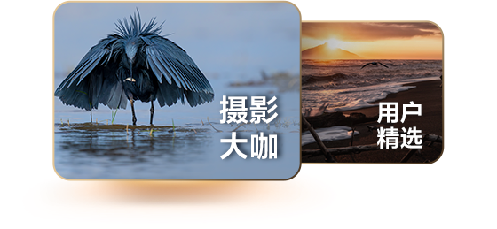 索尼微单15周年旗舰之旅