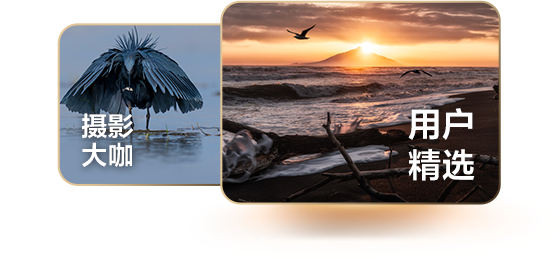 索尼微单15周年旗舰之旅