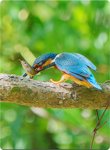 索尼微单15周年旗舰之旅