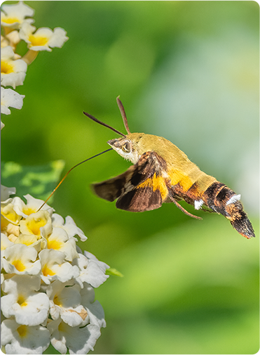 索尼微单15周年旗舰之旅