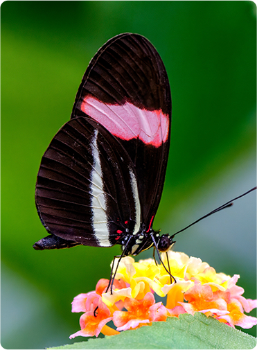 索尼微单15周年旗舰之旅