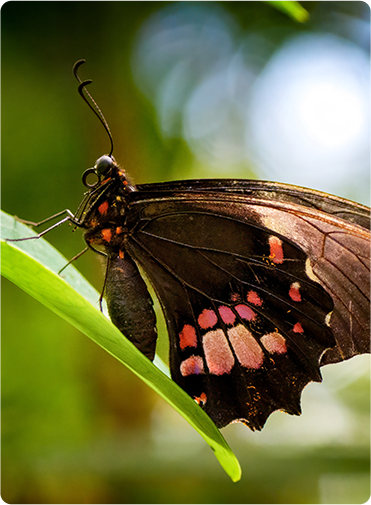 索尼微单15周年旗舰之旅