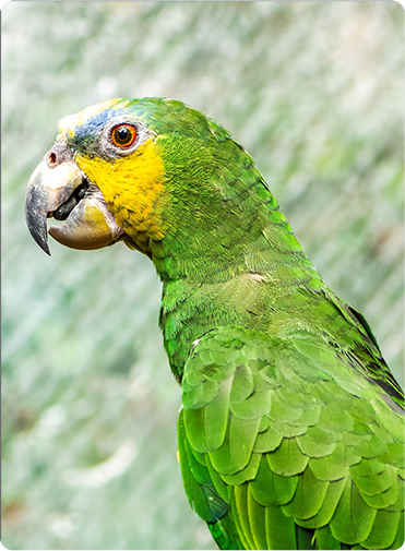 索尼微单15周年旗舰之旅