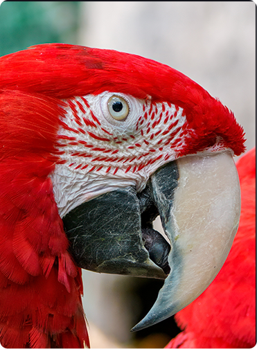 索尼微单15周年旗舰之旅