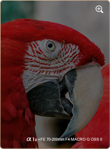 索尼微单15周年旗舰之旅