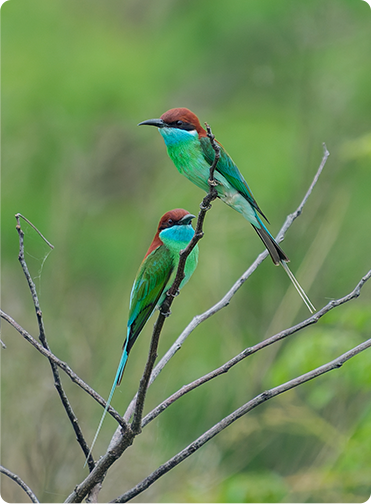 索尼微单15周年旗舰之旅