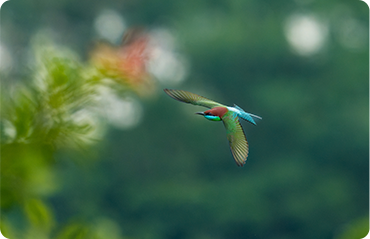 索尼微单15周年旗舰之旅