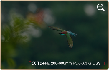 索尼微单15周年旗舰之旅